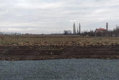 Spațiu comercial, în Ghiroda - 7