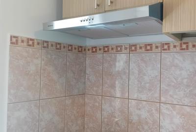 Apartament cu 2 camere decomandat în Iancului - 23