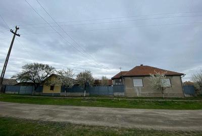 Casă cu 2 camere cu Teren 2880 Mp în Sintea Mare - 6