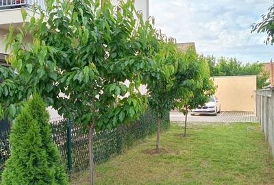 Apartament cu 2 camere semidecomandat în Braytim - 22