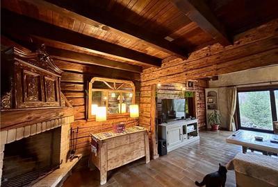 Raritate| Teren de vis de 6 ha de vanzare in Pestera Brasov - 5