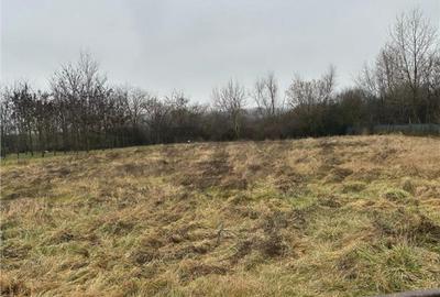 RECO Casa cu 2 camere de vazare in Ungaria la 9km de oradea - 2