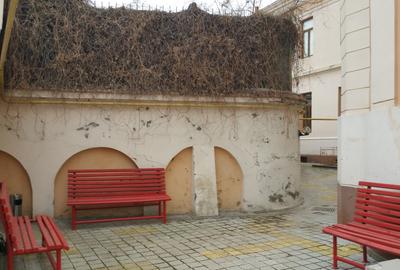 Birou, 742 mp în Central - 7