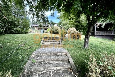 VILA MEDITERANEANA-IESIRE CATRE LAC 100MP/PONTON/PISCINA/DEBARCADER/SNAGOV/2006 - 24