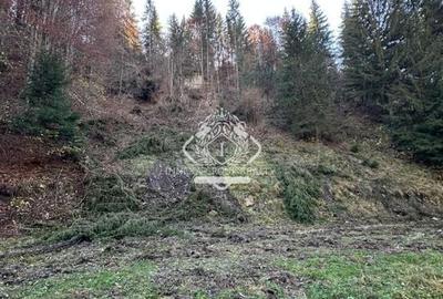 Teren 2.882 mp – oportunitate investitie - Cheile Dâmbovicioarei - 4