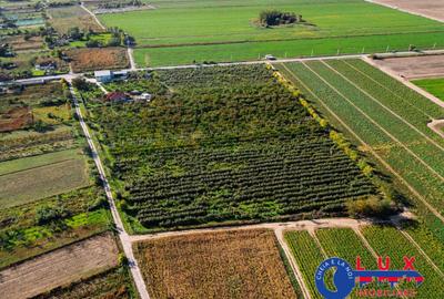 Teren de 44999 mp, în Sabangia - 10