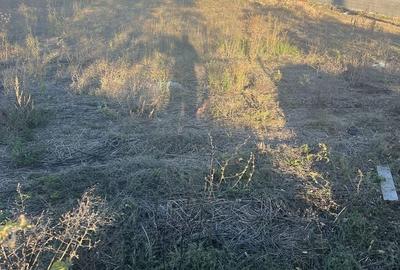 Spațiu comercial, în Bălești - 10