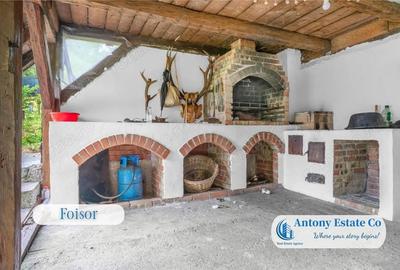 Casă cu Teren 1259 Mp în Podgoria