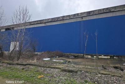 Spațiu industrial, de 17,500 mp, în Zona Liberă - 10