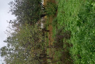 Vand casa in localitatea Scorusu,5 km distanta de Turceni,3 camere plus baie ?i bucatarie, livada cu - 2