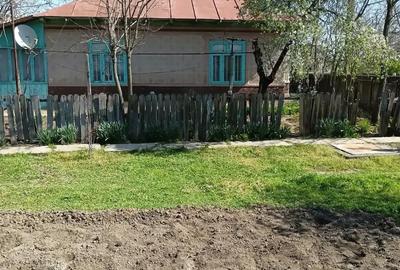 Casă cu 4 camere cu Teren 2988 Mp în Central - 13