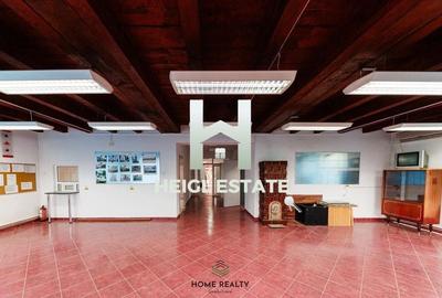 Spatii de birouri in zona Freidorf - 9