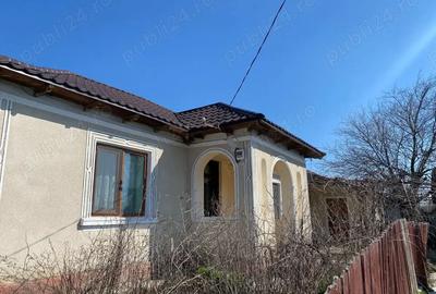 Casa Batraneasca la 50 km de Constanta - 1