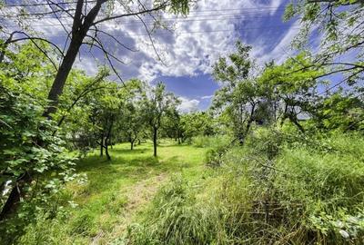 Teren Intravilan Smeura Arges - 2