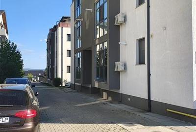 Apartament 2 camere mobilat si utilat Str. Pepinierei - 4