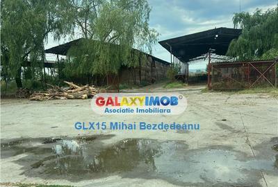 Ferma zootehnicaFunctionala zona Tomsani - 3