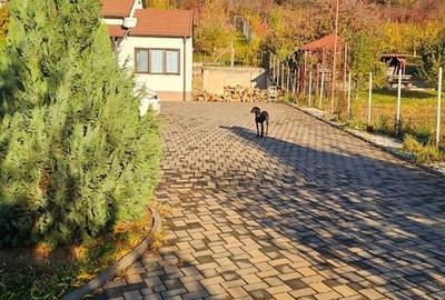 Casă cu 4 camere în Viișoara - 17