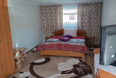 Casa individuala, teren 5200mp, oportunitate de investitie, - 12