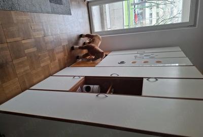 Garsonieră decomandată în Podgoria - 8