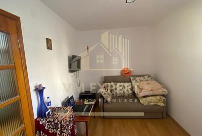 APARTAMENT 2 CAMERE ETAJ 2 ZONA VI?OI CAMPULUNG - 9