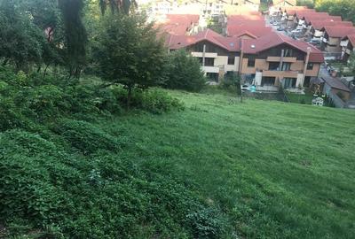 Teren pentru dezvoltatori, 2900mp Noua-Darste - 3