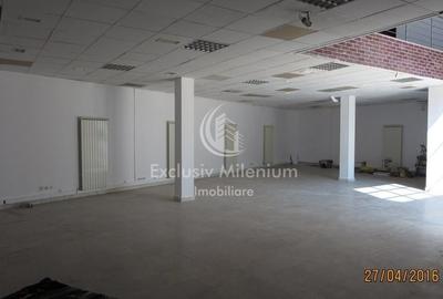 Stefan cel Mare /Comerciale/Birouri/Hala industriala - 5