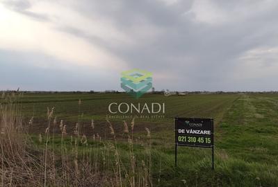 Teren Construcții intravilan de 535 mp, în Tărtășești - 3