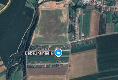 Spațiu comercial, în Șard - 3