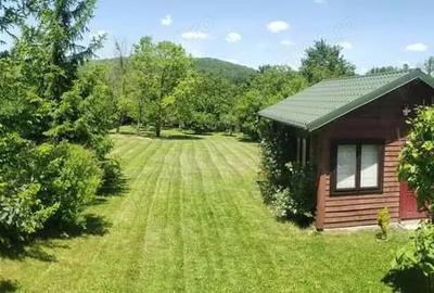 Casa la liziera padurii Valea Ursului, Bascov, Arge? 2 km de Pite?ti - 10