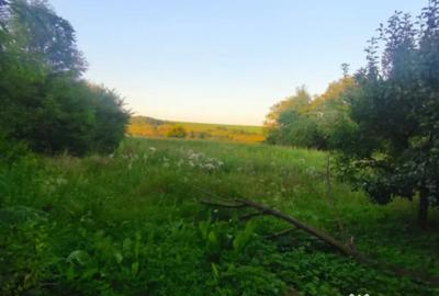 Casă cu 2 camere cu Teren 3500 Mp în Negostina - 2