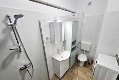 Apartament cu 2 camere decomandat, mobilat în P-ța Unirii - 17