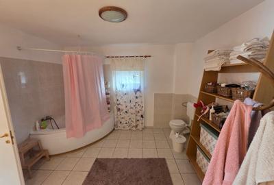 Dristor, Camil Ressu, 15 minute metrou, pe strada Ilioara - 11