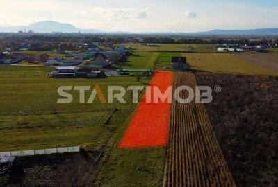 Teren de 3000 mp, în Bod - 4