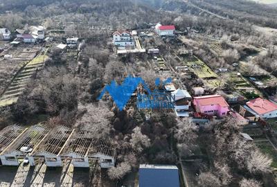 Teren intravilan BIDIDIA, zona deosebita, 550MP - 10