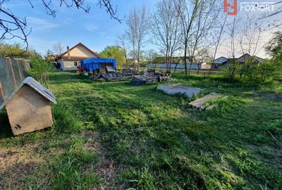 Casă individuală cu 4 camere cu Canalizare în Sânmihaiu Român - 6