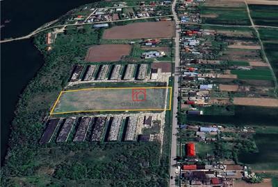 Teren de 10000 mp, în Butimanu - 3