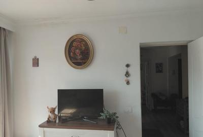 Apartament 2 camere pe Carol ultracentral - 4