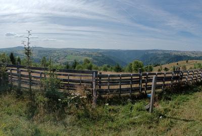 Vand cabana Maguri - 8