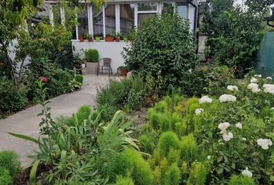 Casa cu suflet in centrul Medgidiei– gradina superba - 36