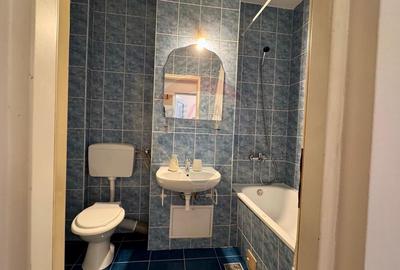 Apartament cu 1 camere, de inchiriat, zona Intre Lacuri, Str. Dunarii Apartament cu 1 camere, de inchiriat, zona Intre Lacuri, Str. Dunarii - 8