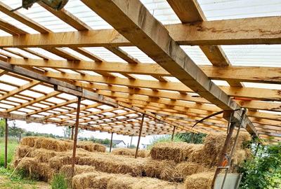 Vand Casa+Teren, zona CIcarlau, pret usor negociabil! - 1