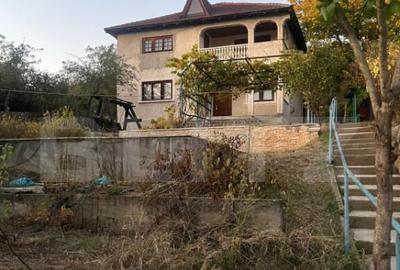 Casa cu piscina P+M, 1.368 mp teren, Leamna de Sus - 7