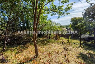 Casa pe un singur nivel si teren intravilan 2016 mp in Satul Cristur, Jud. HD... - 2