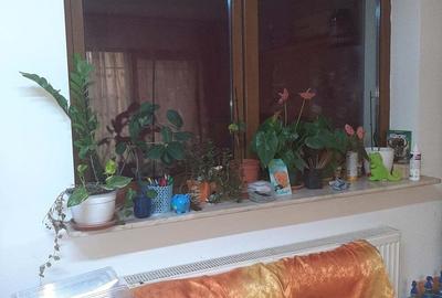 Vand apartament cu 3 cam decomandat cu bucatarie de 22 m ?i terasa cu balcon - 1