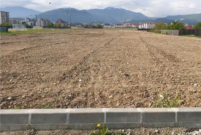Teren de 10000 mp, în Tractorul
