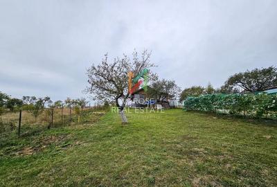 Teren Investitie- 1730 mp-Cabana construita 60 mp - 14