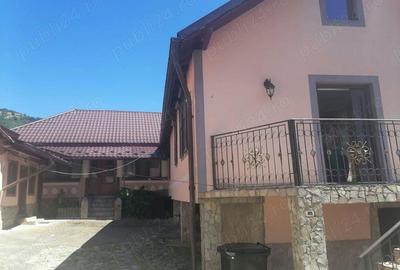 Casa si Teren Tara Lovistei Greblesti - 1