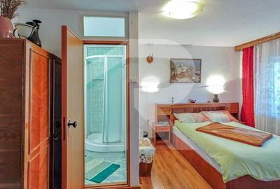 Vila Gabriela Otopeni - 36