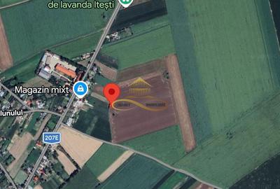 Teren de 13841 mp, în Zemeș - 7