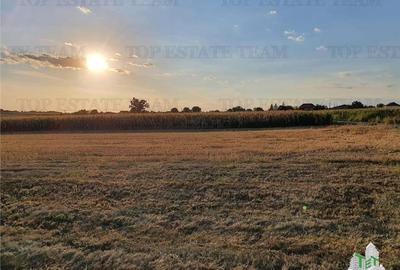 Teren construibil cu toate utilitatile Teren construibil cu toate utilitatile - 2